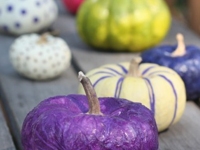 Yankee Magazine Colourful Pumpkins